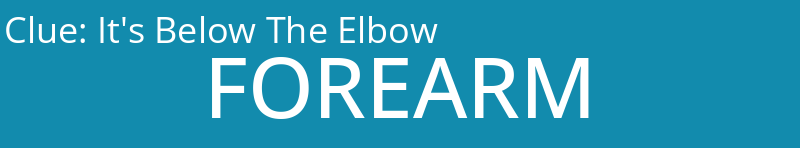 It's Below The Elbow