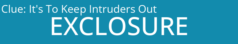 It's To Keep Intruders Out