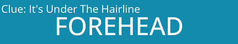 It's Under The Hairline
