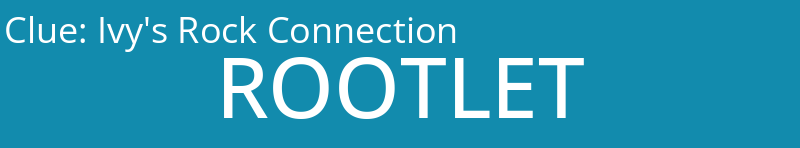 Ivy's Rock Connection