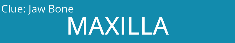 Jaw Bone
