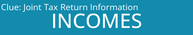 Joint Tax Return Information