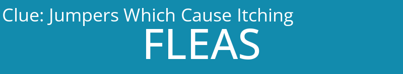 Jumpers Which Cause Itching