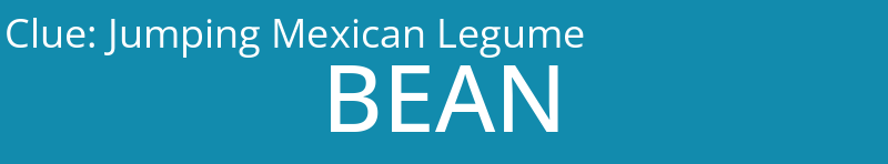 Jumping Mexican Legume