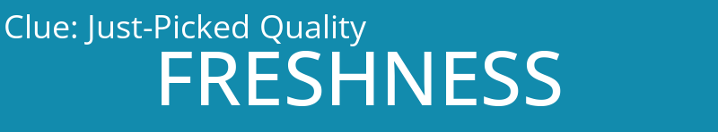 Just-Picked Quality