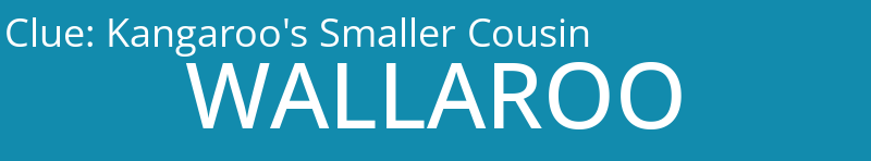 Kangaroo's Smaller Cousin