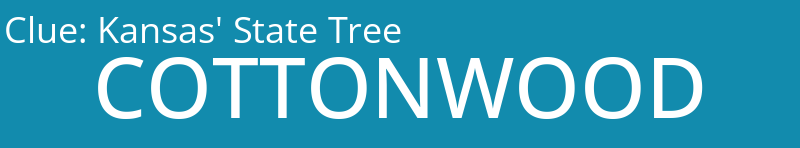 Kansas' State Tree