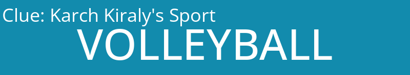 Karch Kiraly's Sport
