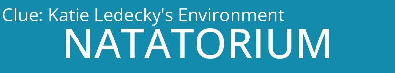 Katie Ledecky's Environment