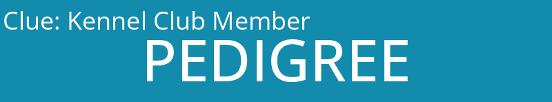 Kennel Club Member