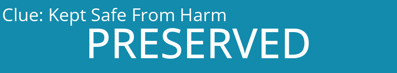 Kept Safe From Harm