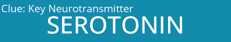 Key Neurotransmitter