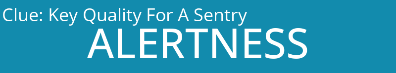 Key Quality For A Sentry