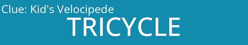 Kid's Velocipede