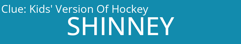 Kids' Version Of Hockey