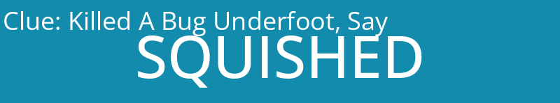 Killed A Bug Underfoot, Say