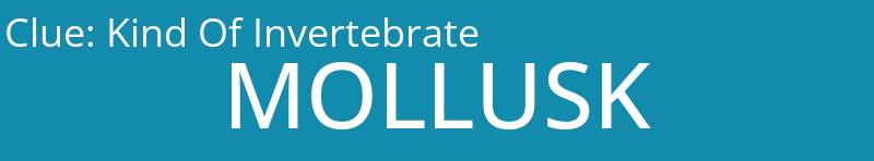 Kind Of Invertebrate