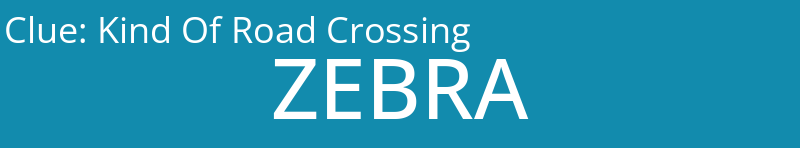 Kind Of Road Crossing