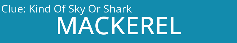 Kind Of Sky Or Shark