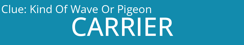 Kind Of Wave Or Pigeon