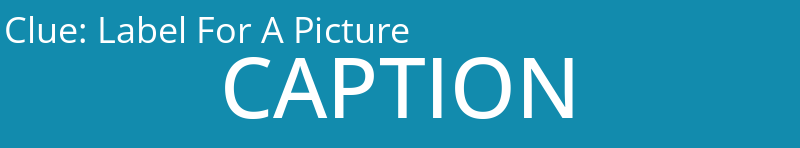 Label For A Picture