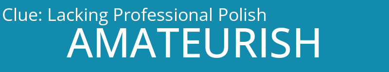 Lacking Professional Polish