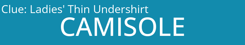 Ladies' Thin Undershirt