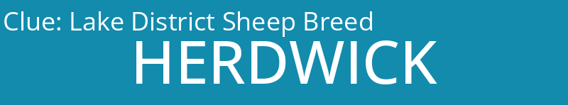 Lake District Sheep Breed