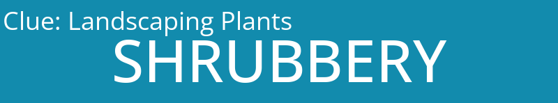 Landscaping Plants