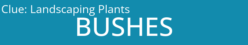 Landscaping Plants