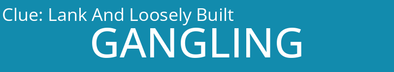 Lank And Loosely Built