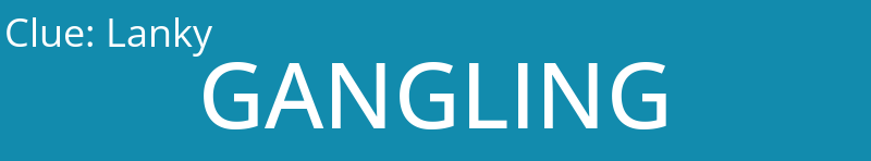 Lanky