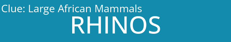 Large African Mammals