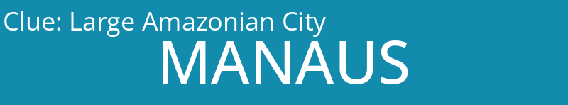 Large Amazonian City