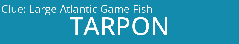 Large Atlantic Game Fish