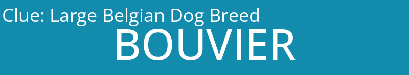 Large Belgian Dog Breed