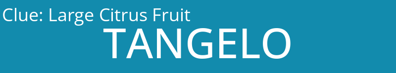 Large Citrus Fruit