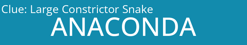 Large Constrictor Snake