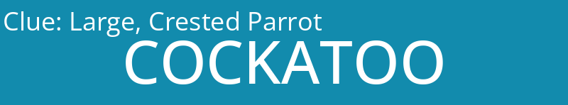 Large, Crested Parrot