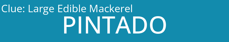 Large Edible Mackerel