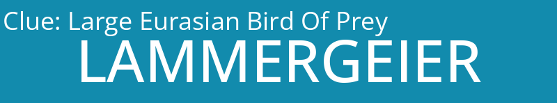 Large Eurasian Bird Of Prey