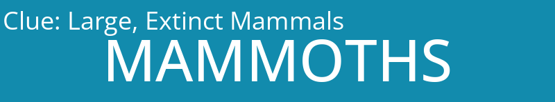 Large, Extinct Mammals