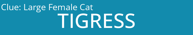Large Female Cat