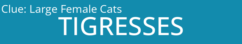 Large Female Cats