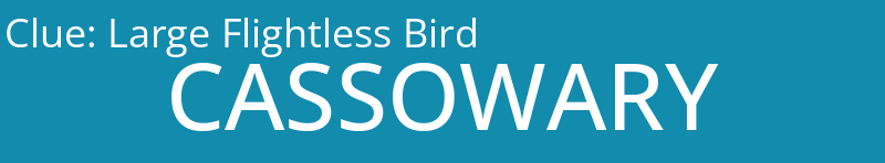 Large Flightless Bird