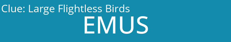 Large Flightless Birds