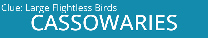 Large Flightless Birds