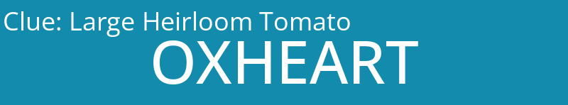 Large Heirloom Tomato