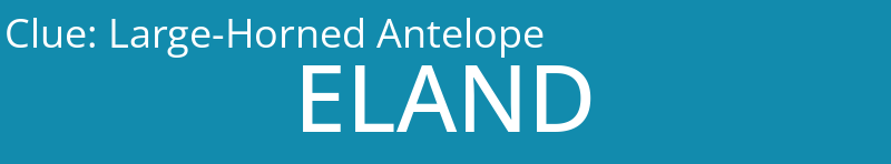 Large-Horned Antelope