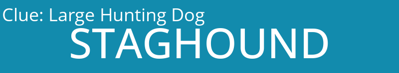 Large Hunting Dog